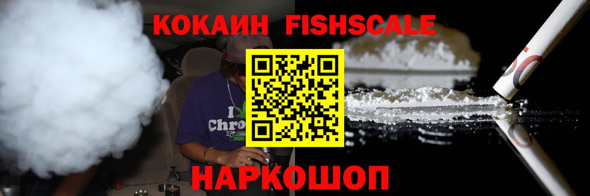 Cocaine Fish Scale Энгельс