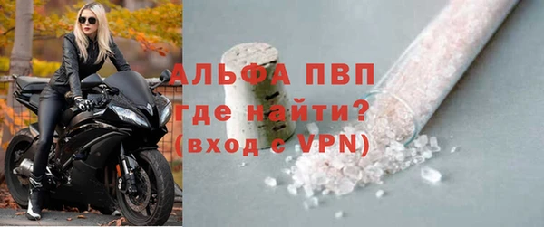 прущие грибы Майский