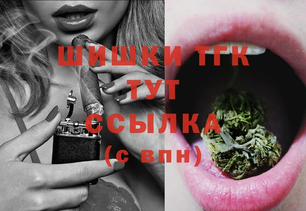 мяу мяу мука Няндома