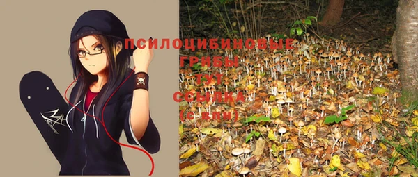 мескалин Медногорск