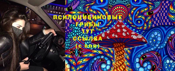 альфа пвп Магас