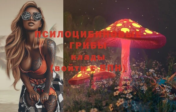 прущие грибы Майский