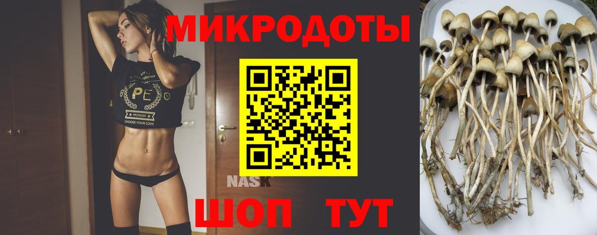 Псилоцибиновые грибы Magic Shrooms  Галлюциногенные грибы Psilocybe  Энгельс 