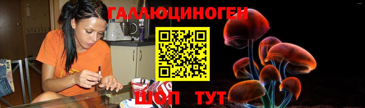 Галлюциногенные грибы MAGIC MUSHROOMS  Вход с VPN  магазин продажи   Энгельс 